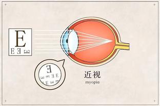 开云app官方入口网站截图4